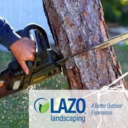Lazo Landscaping  - Tree Removal