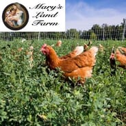 Marys Land Farm - Annual Founding Member CSA Membership
