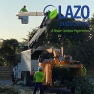 Lazo Landscaping  - Tree Service and Tree Removal 